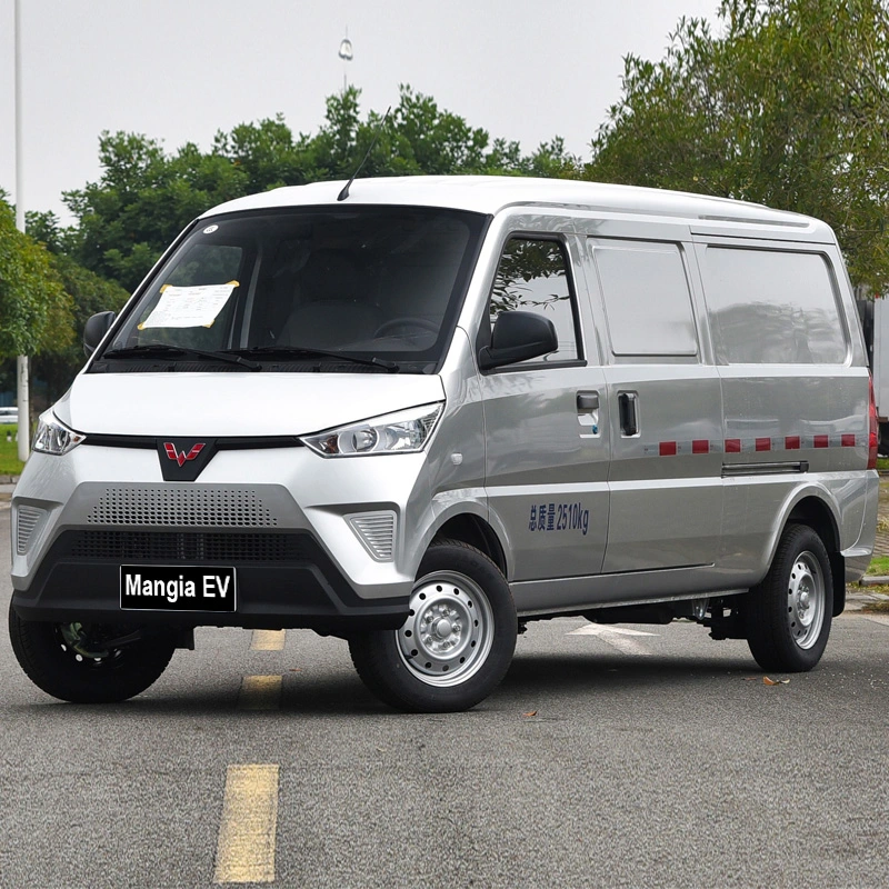 Wuling EV50 среднего электрический погрузчик/Ван большой объем чистого автомобиля электрического замкнутые Электрический погрузчик