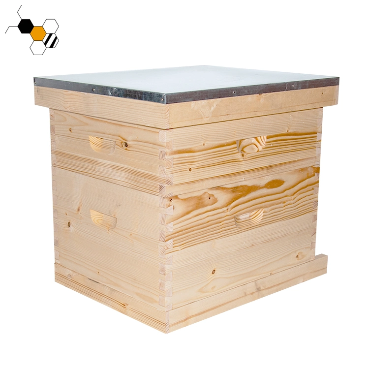 Maison du miel en bois Fabricants Bee Hive ruche Langstroth Case de l'équipement de l'apiculture