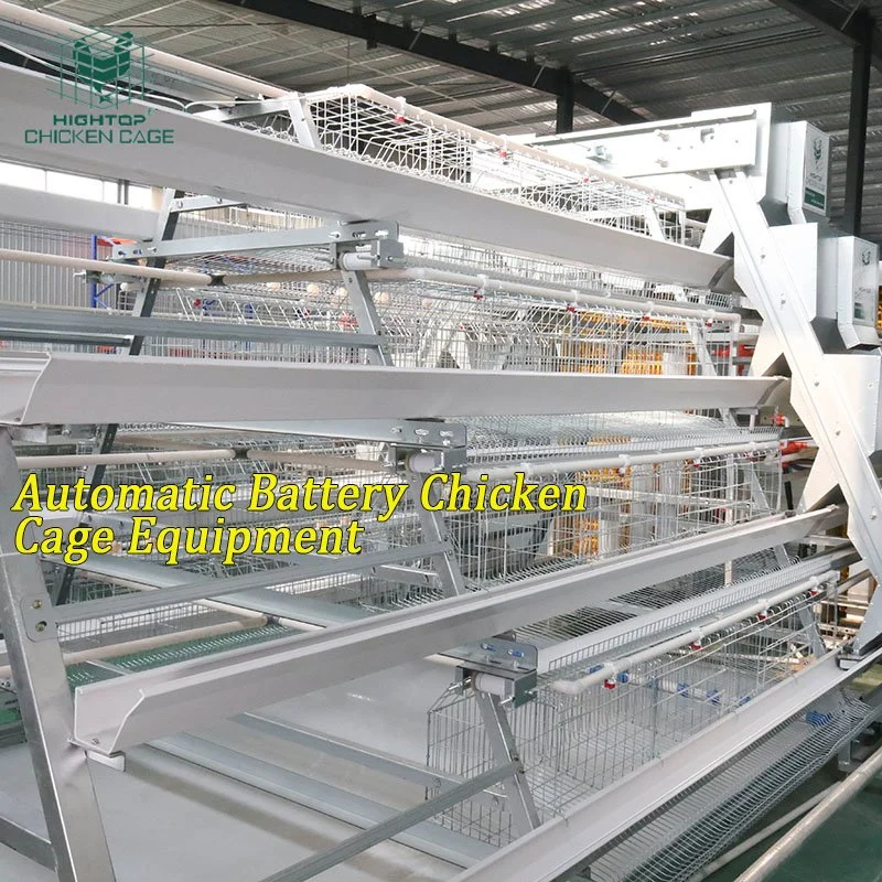 A Type Automatic Layer Poultry Chicken Cage Manure Belt Jaula PARA Pollos