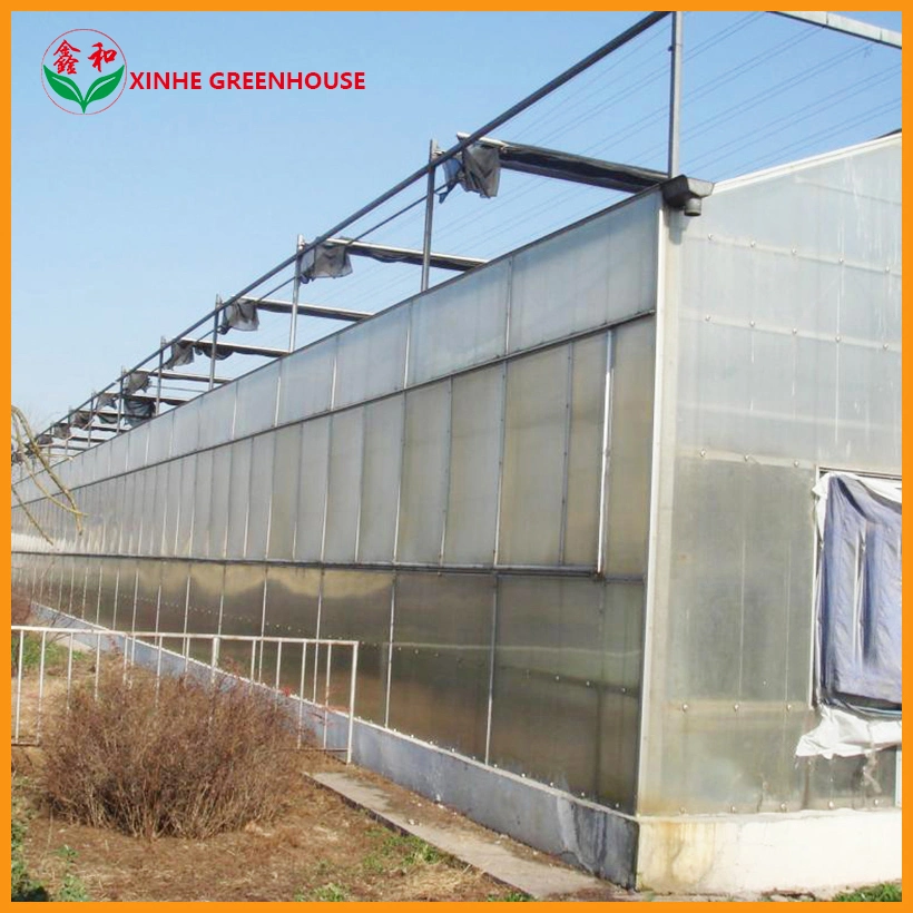 Modern Plastic Film Greenhouse with Steel Skeleton and Hot Drip Galvanized Bolt for Vegetables