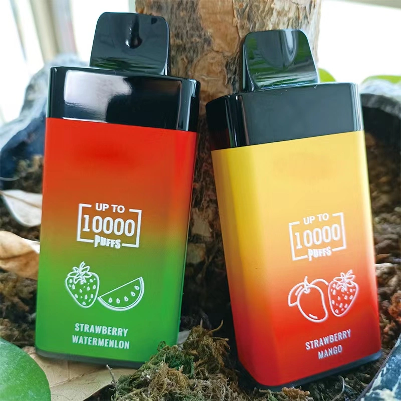 Preço de fábrica sabor a fruta Vape descartáveis Poco BL10K borlas para personalizar o vaporizador Pod Pod Ecigar descartáveis