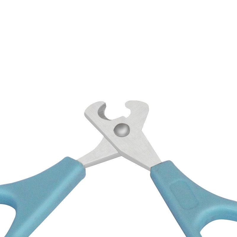 Tc4105 Pet Small Plastic Handle Metal Scissors for Beauty