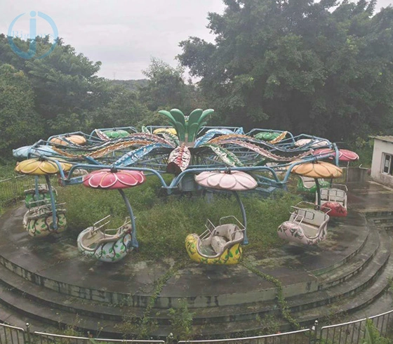 Direct Amusement Park Supplier Family Rides Double Flying Rides for Sale