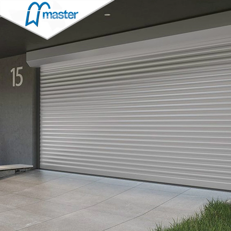 Galvanized Steel Roller Shutter Doors / Rolling Door/Remote Control for Car Door