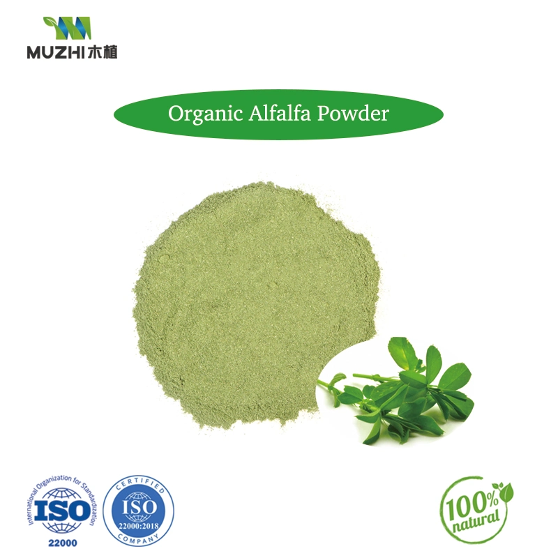 Kale Powder Natural Herbal Plant Extract