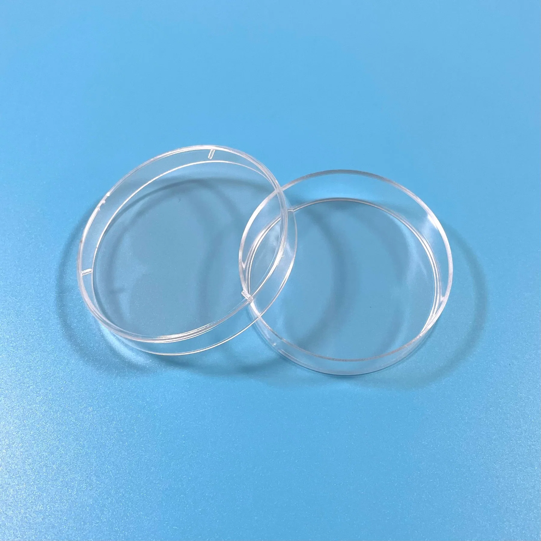 Aicor Medical Supplies Consumables 5.5cm Sterilized Plastic Tissue Culture Plate Bacteria Culture Petri Dish