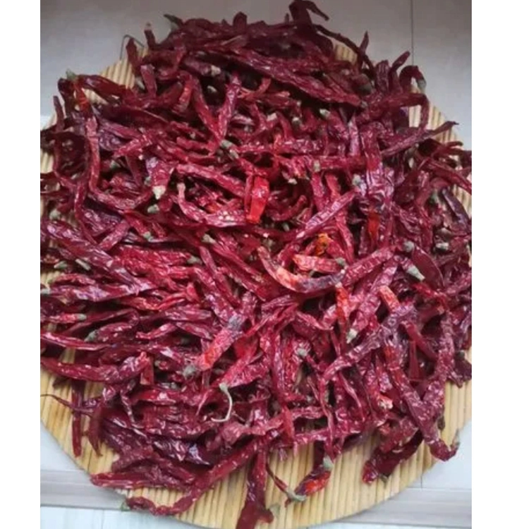 Wholesale Spicy Red Dry Chili