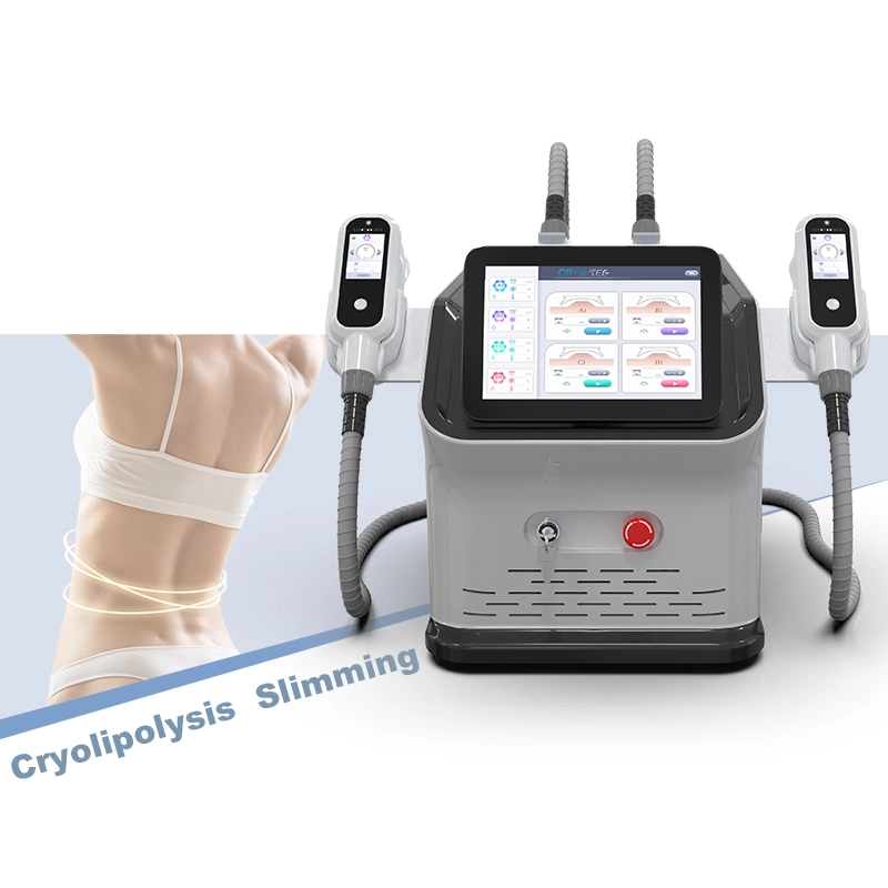 Cryolipolysis CE Approved Original Manufacturer Cryotherapy Beauty Portable Slimming Cryolipolysis Machine Price