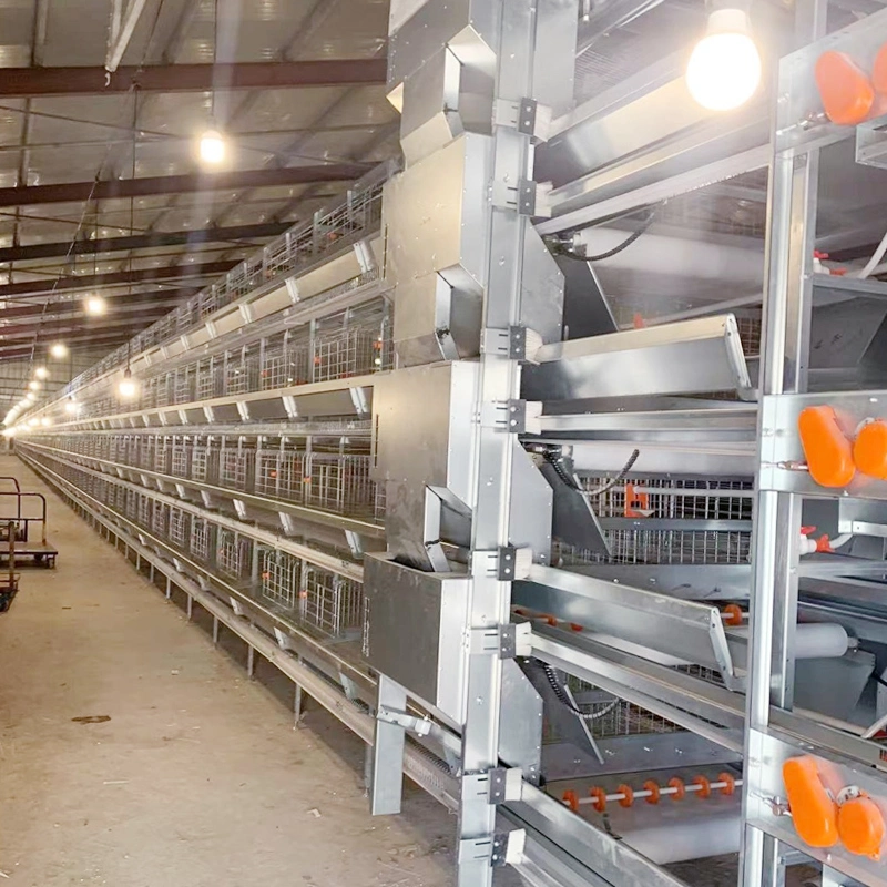 Automatic H/a Type Cage Poultry Farm Equipment with Feeding Line/Tower/Nipple/Pan/Egg Picker/Brood System