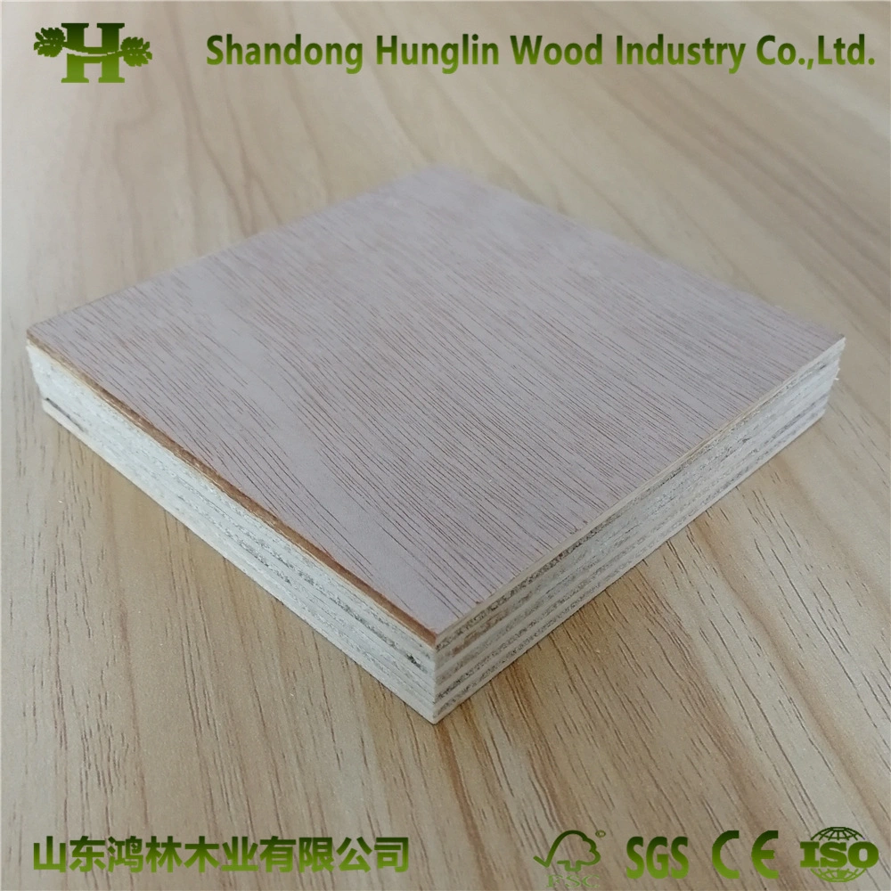 Wholesale/Supplier Okoume/Bintangor Plywood/Pallet Plywood for Packing/Furnitue