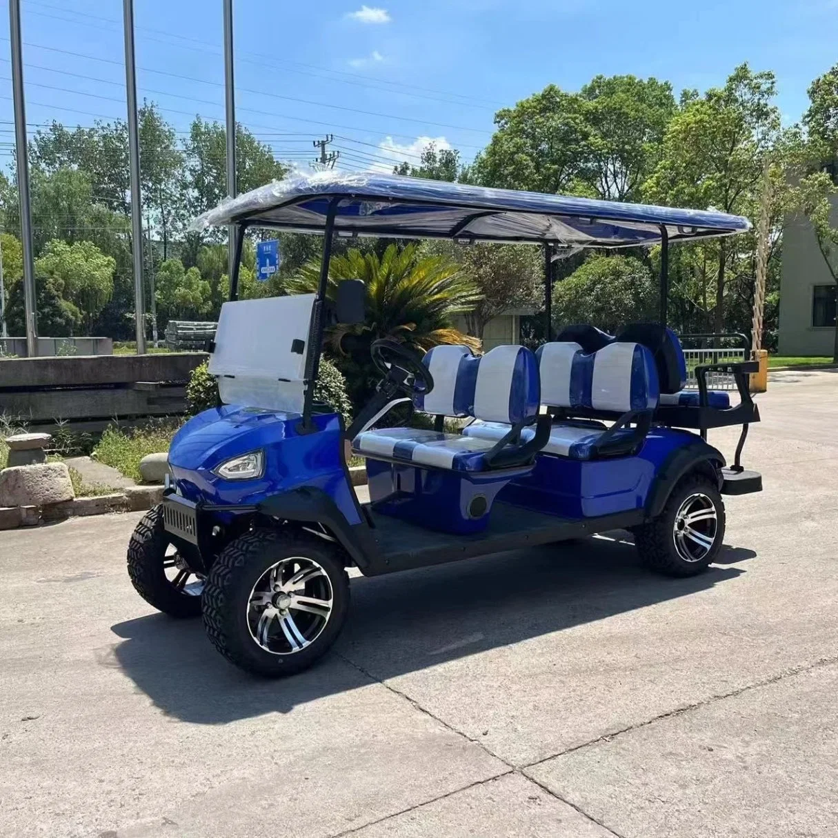 Hot Sports Ground Golf Buggy off-Road Electric Golf Cart for Sale