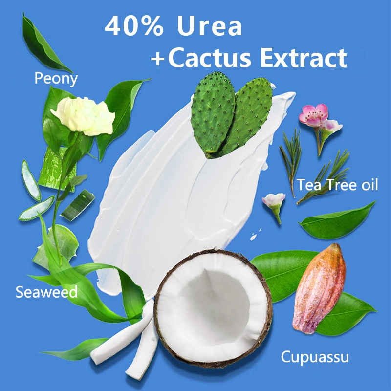 Hot Sale 40% Urea Skin Repair Cream Vitamin E Urea Moisturizing Whitening Cream