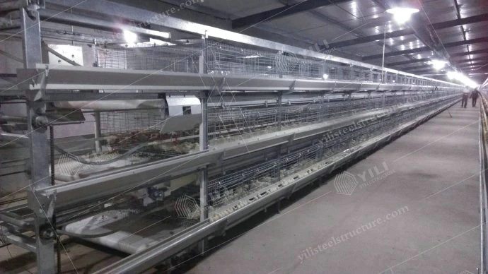 Prefabricated Automatic Poultry Farm Chicken Broiler House Design