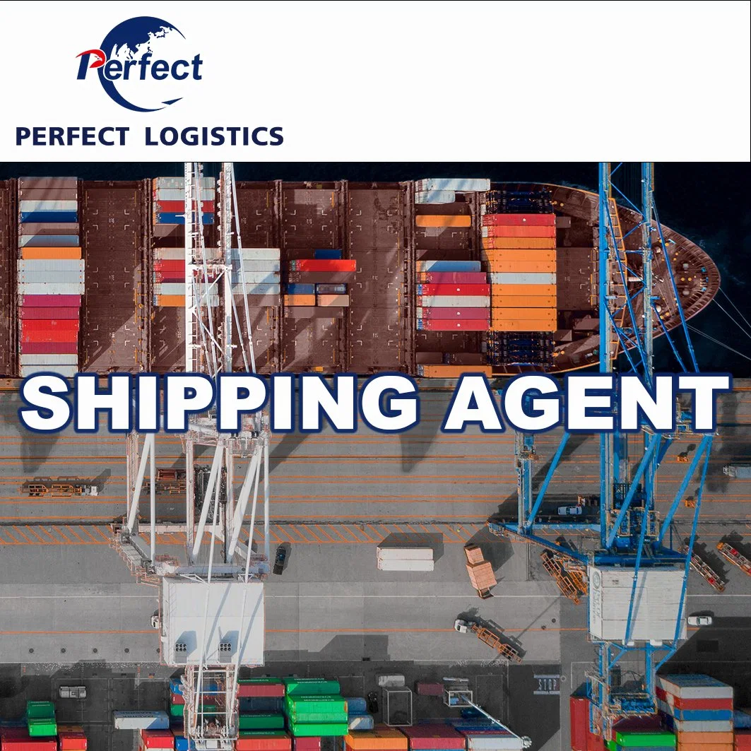 Sea Freight Shipping Agent From China to Iraq Iran Dubai Saudi Arabia Best Price for Normal Cargo/Liquids/Oil/Brand/Cosmetics