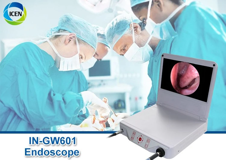 IN-GW601 Medical Standard USB ENT Endoscope Inspection HD 1080P Camera