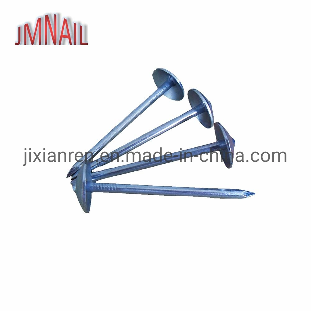 Roofing Nail, Umbrella Head Roofing Nail, Roofing Nail with Umbrealla Head