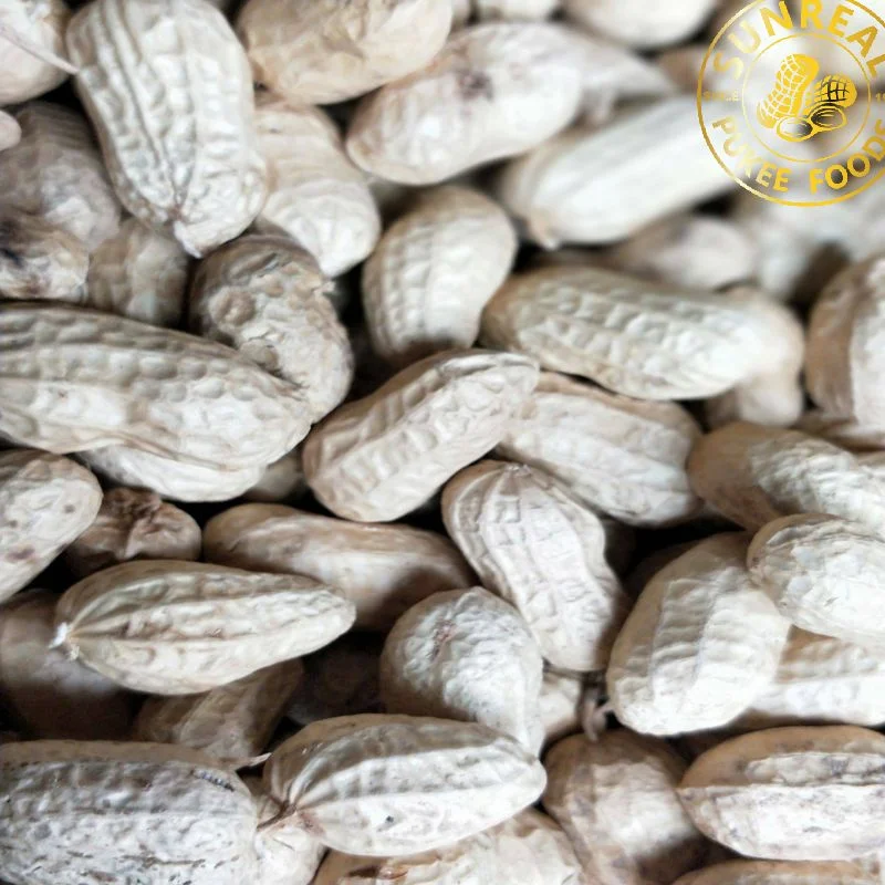 Roasted Hsuji Peanut in Shell/Best Quality From China Snacks New Fresh