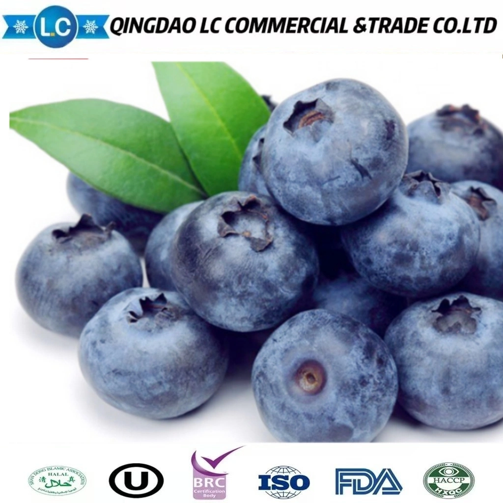 High quality/High cost performance IQF Frozen Blueberry with Good Price