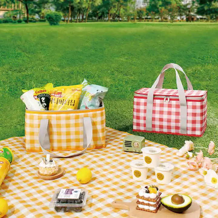 Picnic Basket Picnic Bags with Hanging Band Multicolor Cooler Lunch Bag