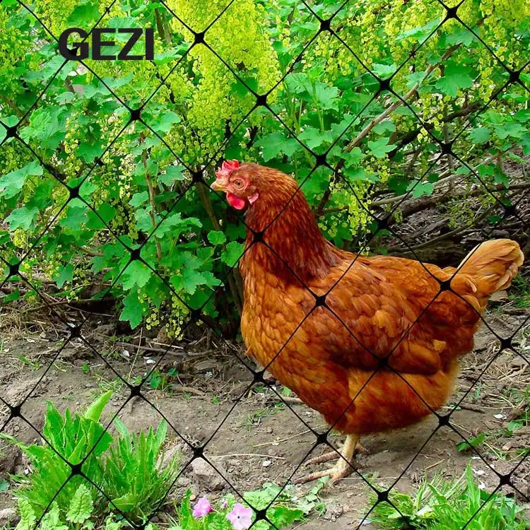 HDPE Nylon Anti Pigeon Pájaro Protección resistente Pollo Anti Mole Red de venado para árboles de bayas de campo de arroz
