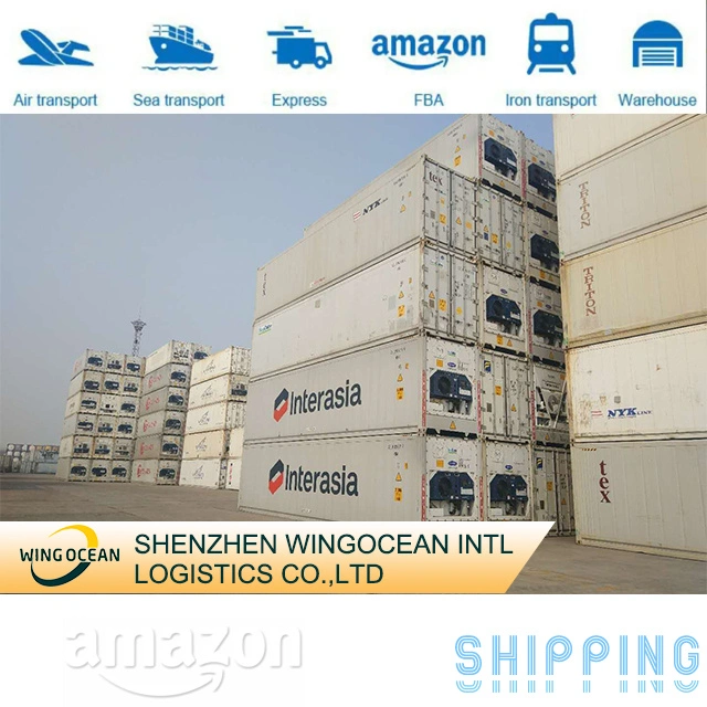 The Best Logistics and Transportation Team, Shipping From China to USA / Europe/ Africa/ Asia/ Australia/ Middle East/ South America