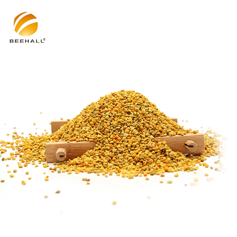 Beehall Bee Products Supplier High Quality Organic Wholesale Rape Bee Pollen