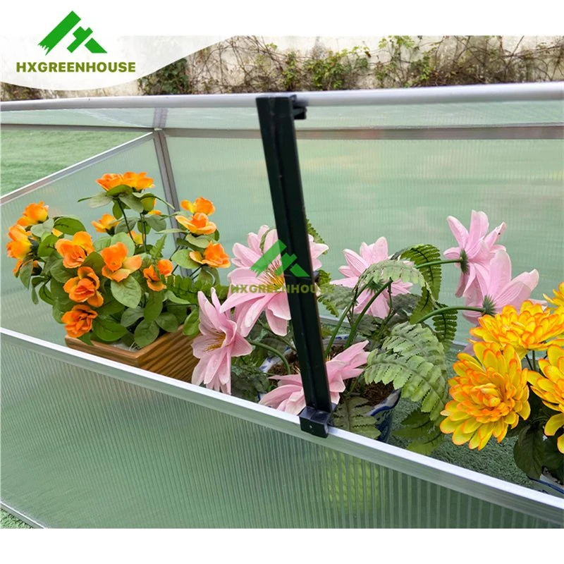 Mini Garden Greenhouse Anodized Aluminium Cold Frame