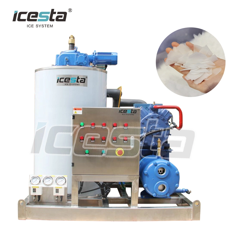 Icesta Customized High Reliable 1 2 3 5 10 Ton Salt Water Flake Ice Machine for Fish