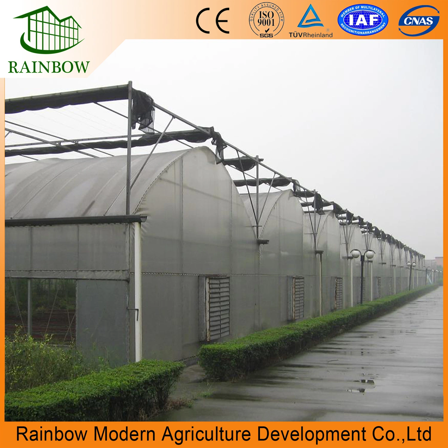 Multispan Large Commercial Leafy Vegetable Hydroponics Greenhouse