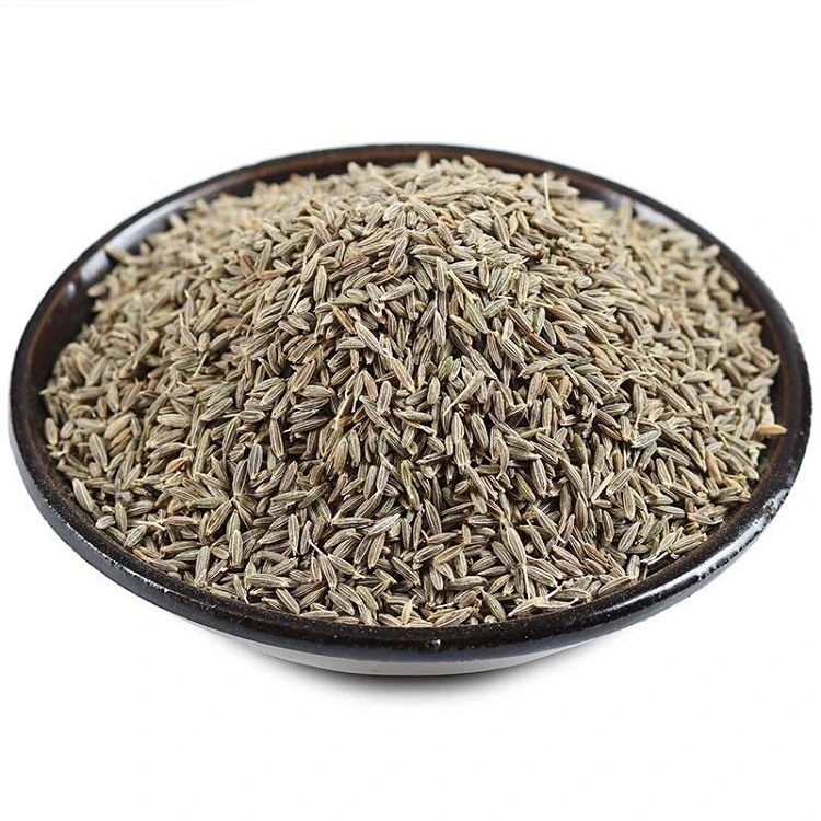 Cumin Seeds Supply Dried Cumin Seeds Spice with Factory Price