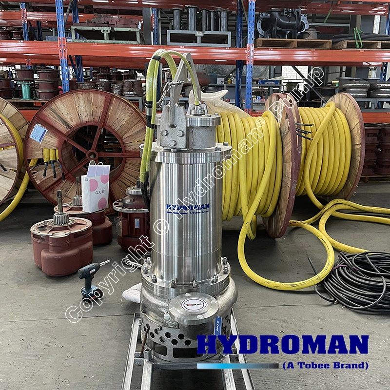 Hydroman Electric Submersible Stainless Steel Sand Slurry Pump for Coal Washing