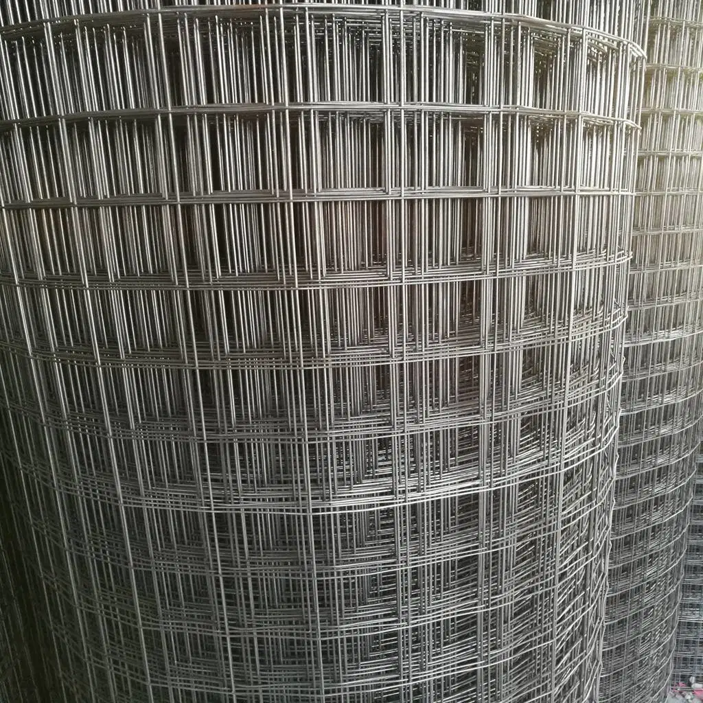 Galvanized Welded Wire Mesh Cloth 1 Inch