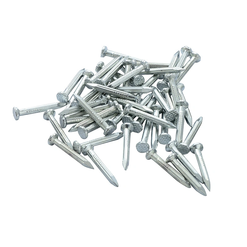 Original Factory Direct Sale Competitive Price Galvanized Steel Concrete Nails with Best Price