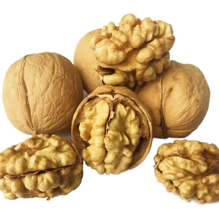 Large Quantities of Xinjiang Walnut Origin for High-Quality Organic Pure Natural Walnuts