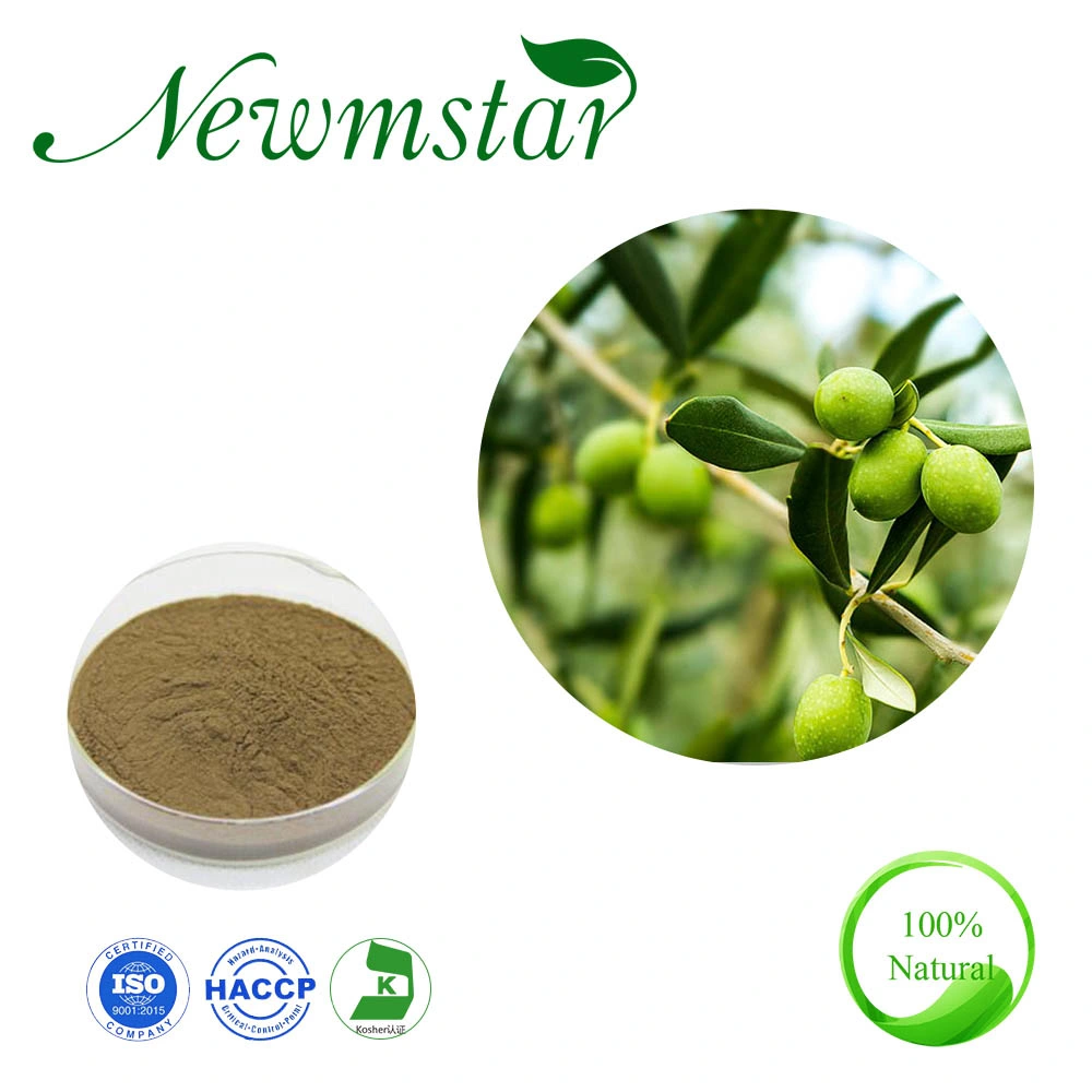 Factory Supply Olive Leaf Extract with Oleuropein