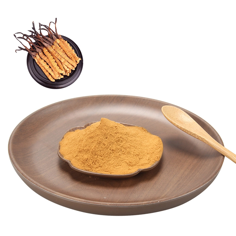 30% polysaccharide Cordyceps Sinensis extrait de champignon extrait de cordyceps poudre