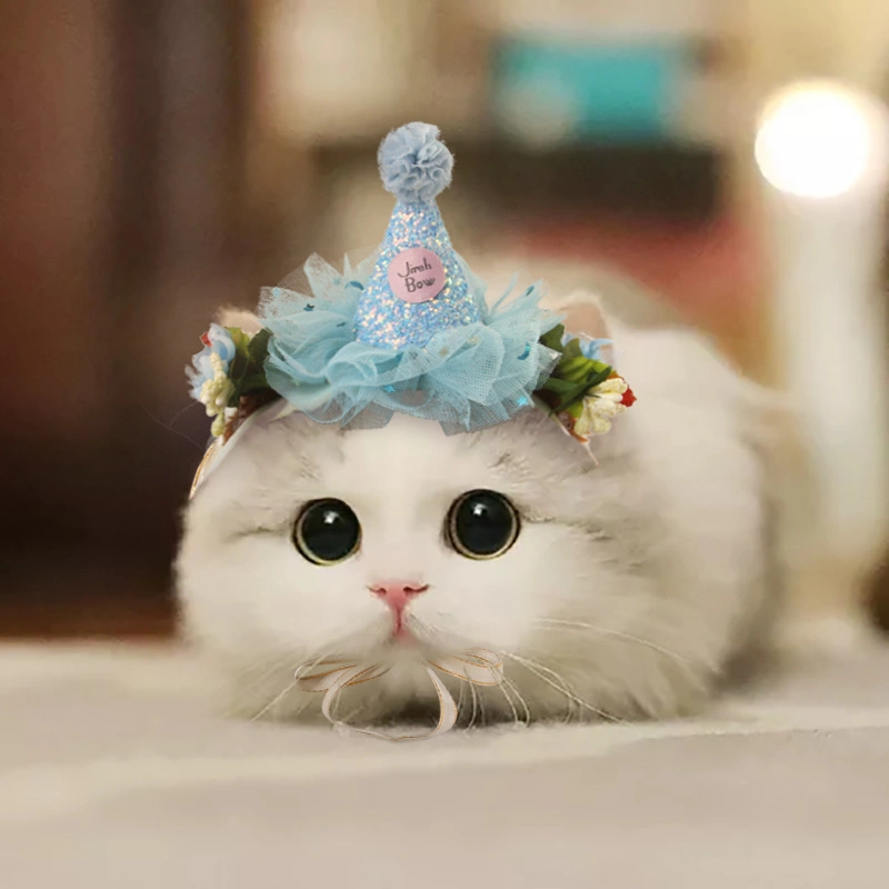 Pet Headwear Cat Dress Lace Accessories Creative Cat Hat Dog Pet Supplies Clothes Hair Bands Hair Band Apparel Clip Accessories