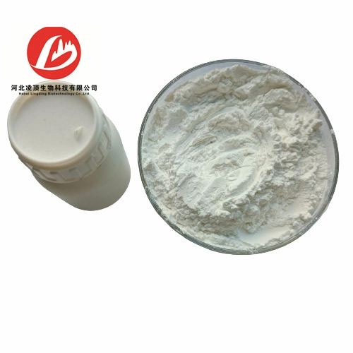 Panadol Acetaminophen CAS 103-90-2 Paracetamol