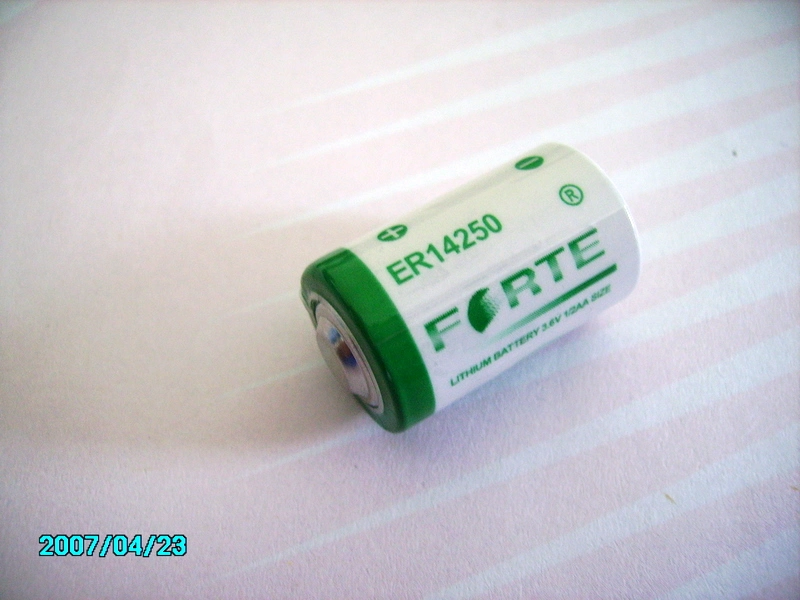 Batterie principale au lithium non rechargeable 3,6 V 1 200 mAh 1/2 AA Er14250 cylindrique jetable Batterie pour compteur de gaz