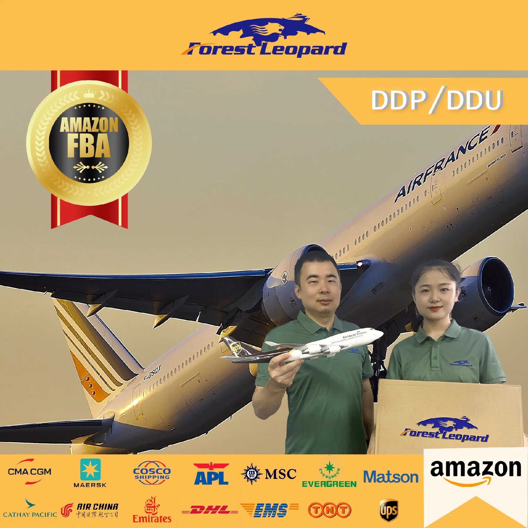 Internationale Tür zu Tür Luftfracht DDP Versand nach De EU USA aus Shenzhen Freight Forwarder