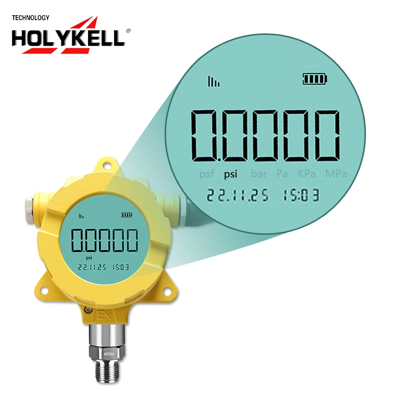 Holykell Explosion Proof Iot Smart Wireless Lorawan Pressure Transmitter with Online Monitor