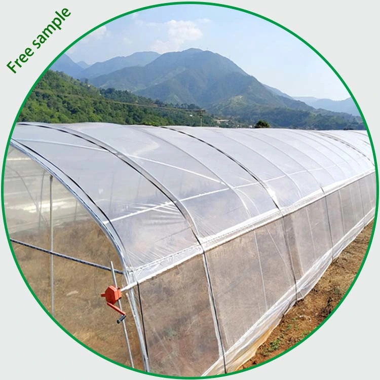 200 Micron LDPE Clear UV Tomato Greenhouse Plastic Film Anti Fog Anti Drip Polyethylene Agricultural Film Cover Roll