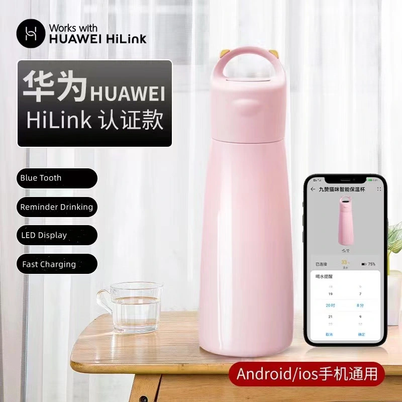 Time Setting Remind Drinking Keep Hydration Smart Bottle with Timer Fast Charging