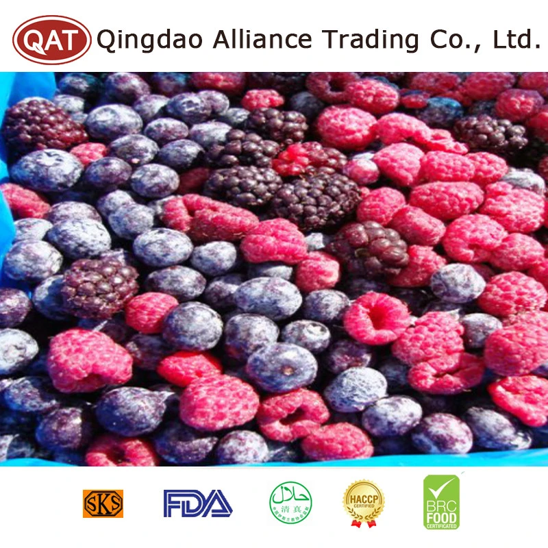 New Crop Kosher IQF Deep Frozen Fruits Mixed Berries in Packaging Bag Price