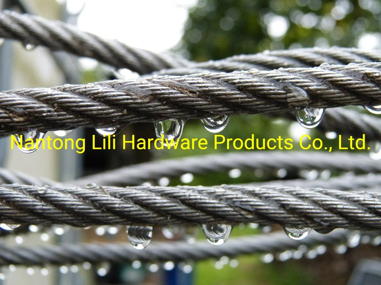 1X19 7X7 7X19 Steel Rope Multi Stranded Steel Wire Rope, Wire Rope, Galvanized Steel Wire Rope