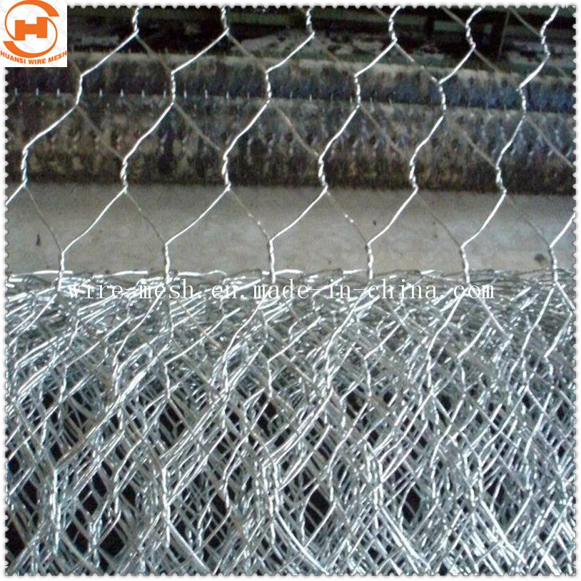 Galvanized Hexagonal Wire Mesh/Chicken Wire Mesh