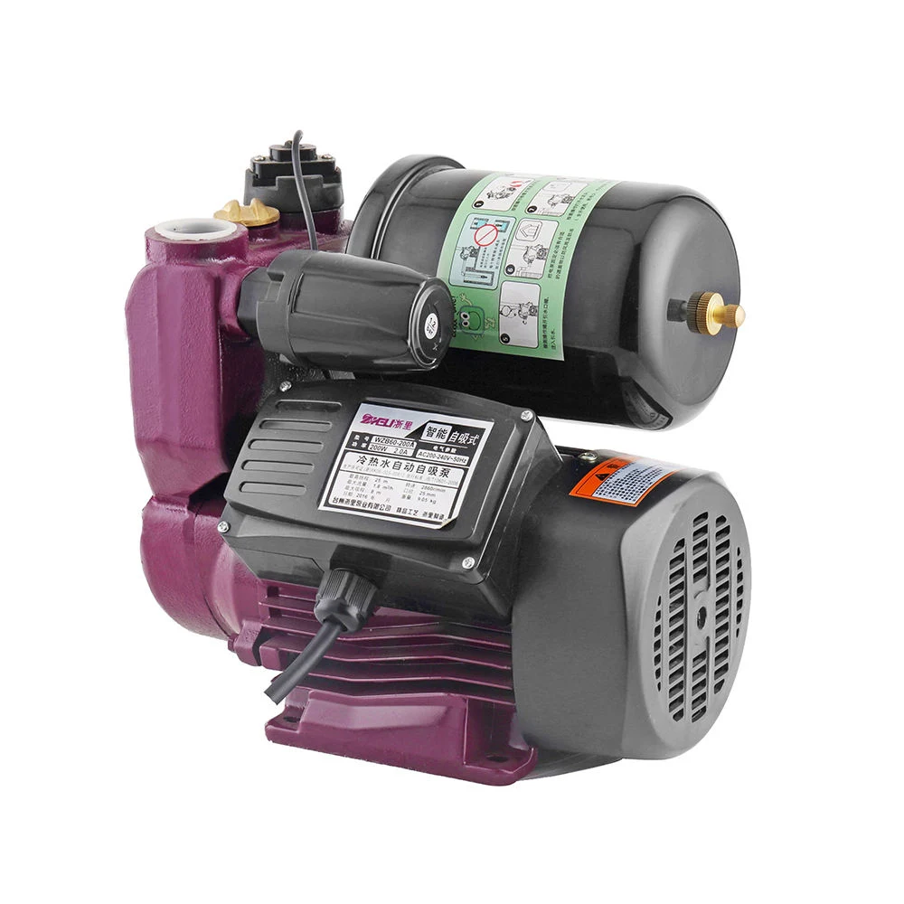 Energiesparender Haushalt 200 Watt 0,25 HP Elektrische Wasserpumpe