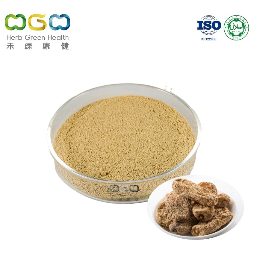 Extracto de hierbas de Tianma Medicina de hierbas chinas alimento de salud Gastrodia elata
