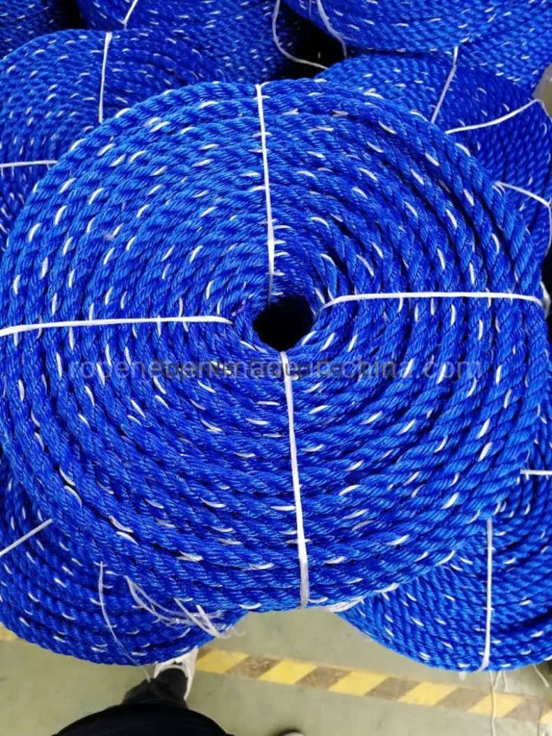 Plastic Polyester Polyamide Nylon Ropes for Fishing and Mooring 3/4/8/12 Strand Marine Polypropylene PP/PE Danline Plastic Rope Factory China