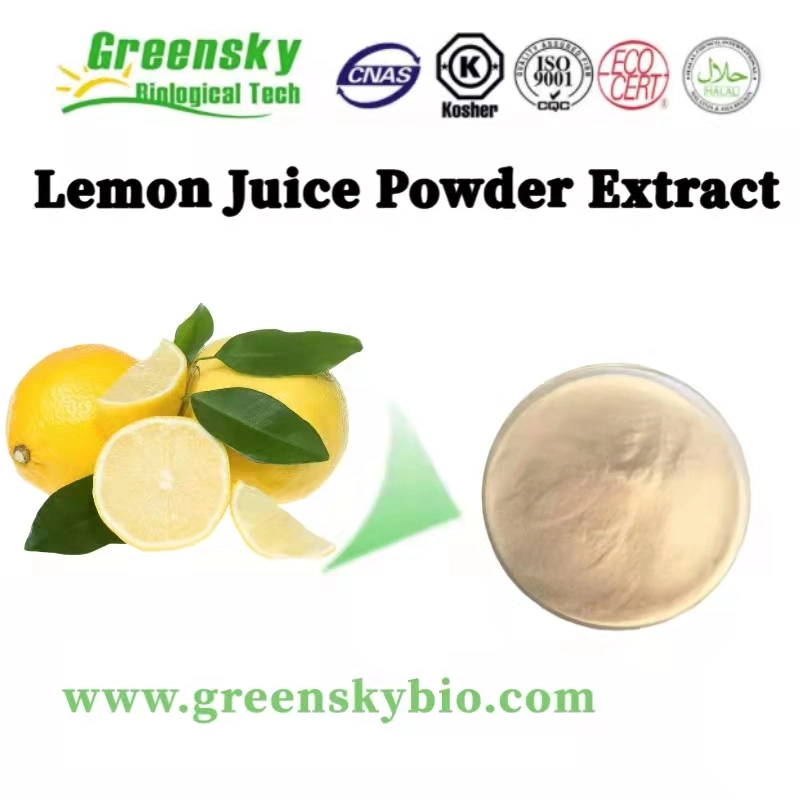 High Quality Best Price Natural Organic Fruit Powder Lemon Juice Powder